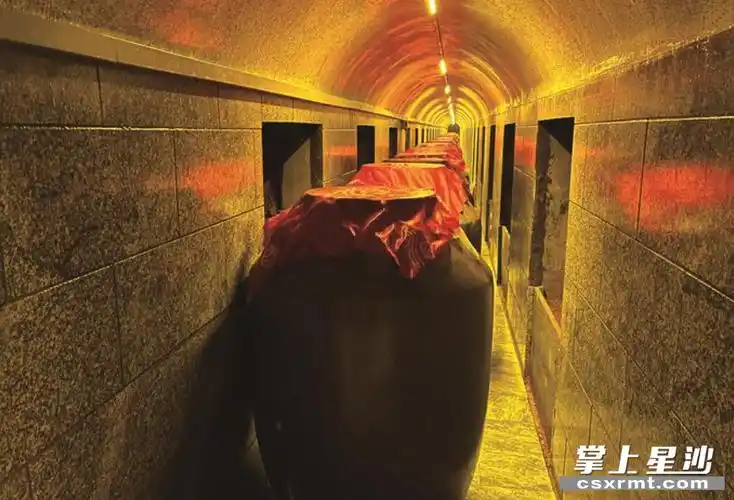 温度只有18℃左右的酒窖舒适宜人,占地5000多平方米,藏有白酒与糯米