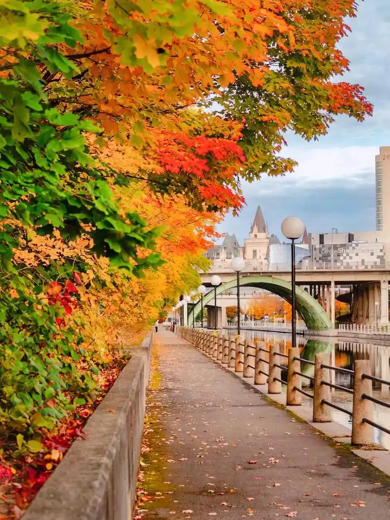 📸加拿大的中心·首都|渥太华.