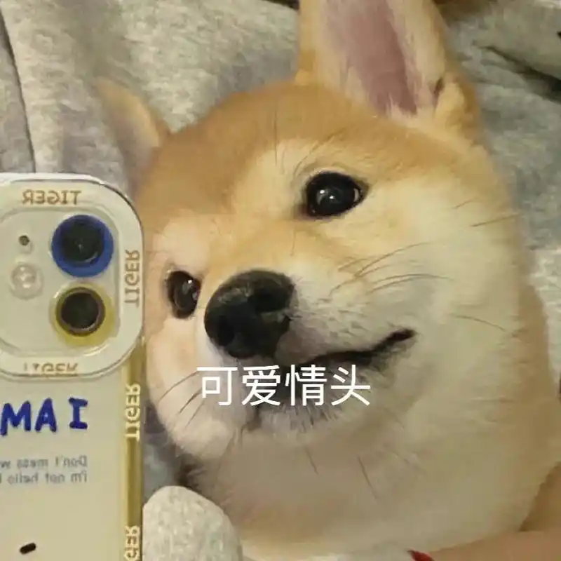 搞怪头像 #情侣头像 #可爱头像 - 抖音