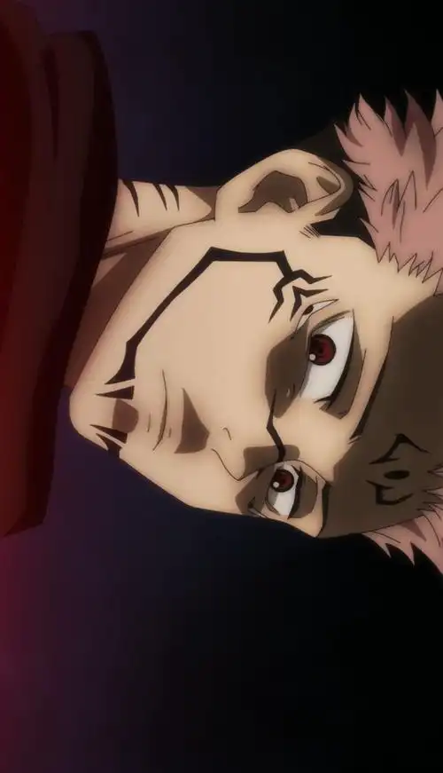 咒术回战 两面宿傩/虎杖悠仁