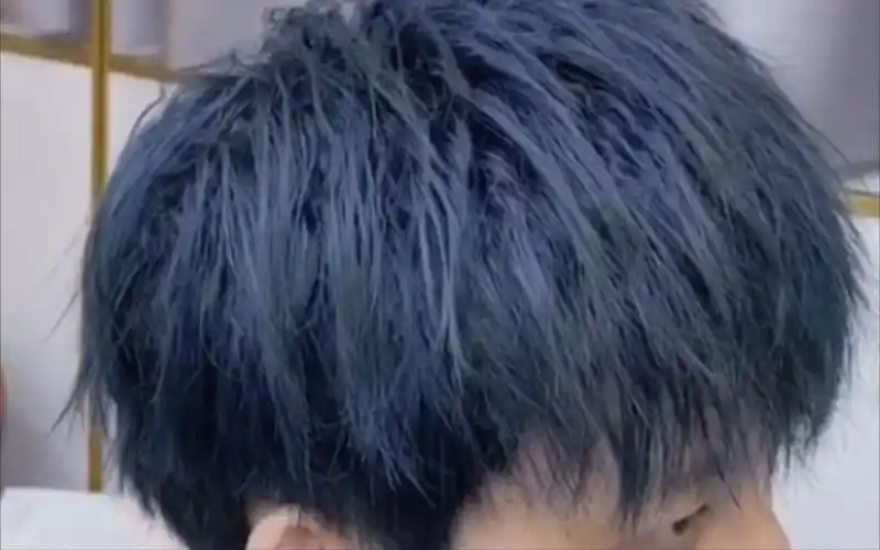 【男生发型】男生染发摩根烫男生最骚的发型