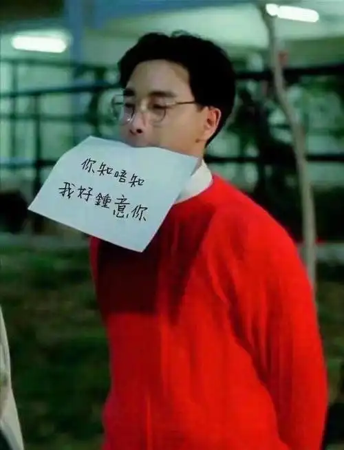 美图 哥哥张国荣