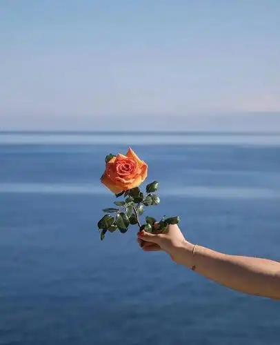 782021牛年壁纸自存78