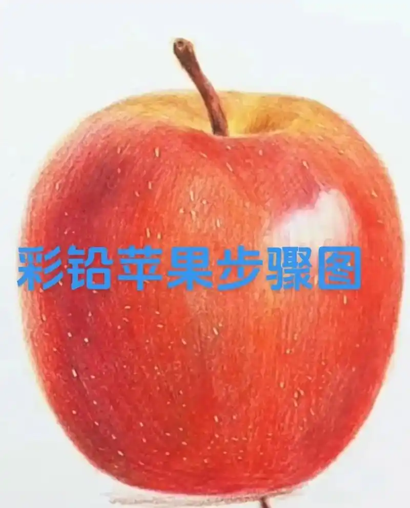 彩铅苹果步骤图,主页有视频,#彩铅手绘 #彩铅苹果 #画画  - 抖音