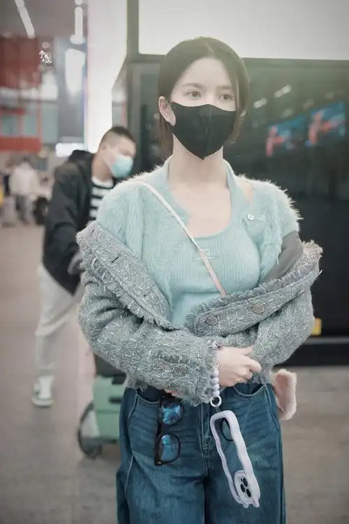 刘些宁 宁安如梦