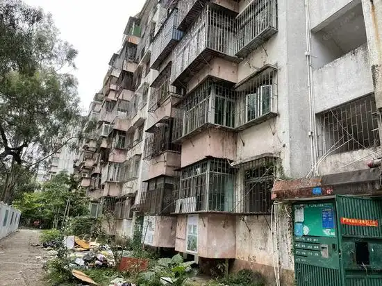 实探深圳福田华富村棚改:建成后不低于12万/㎡?