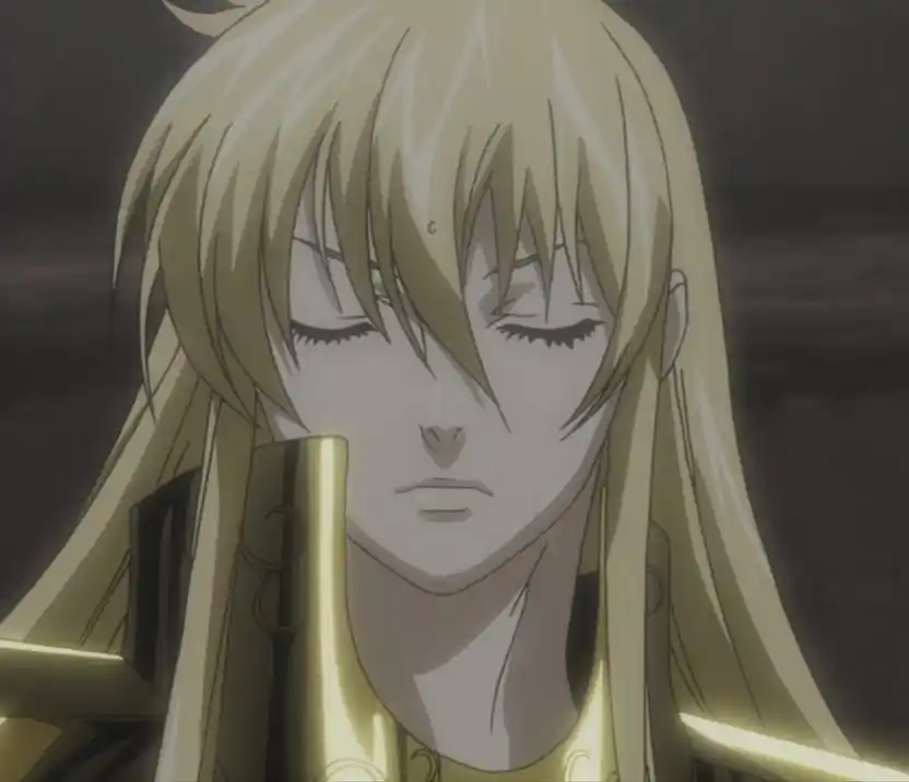 圣斗士冥王神话处女座的图片 最好是qq头像