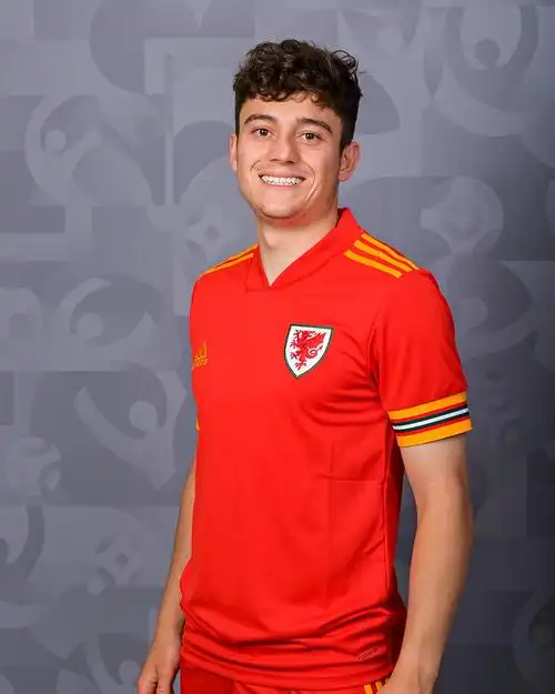 恭喜威尔士双子星丹尼尔詹姆斯和迪伦莱维特进入2020欧洲杯16强78