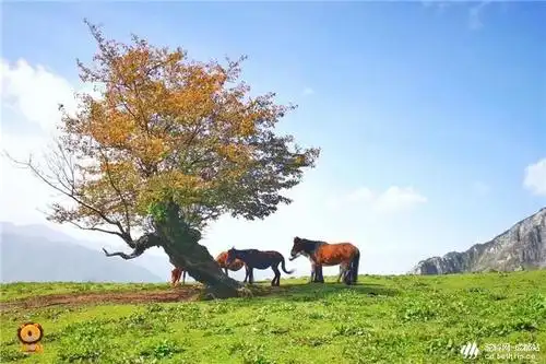微信头像阳光高山_第5页