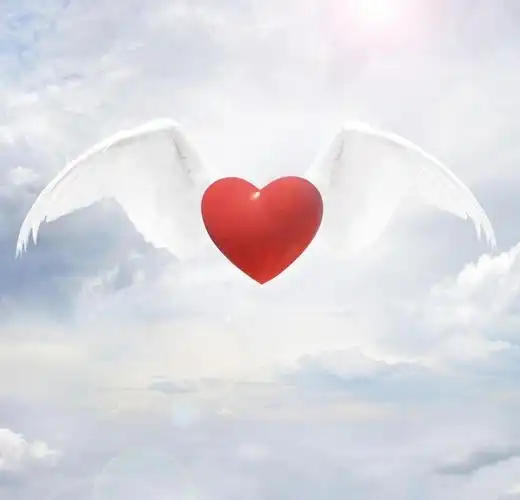 粉色爱心后的小翅膀