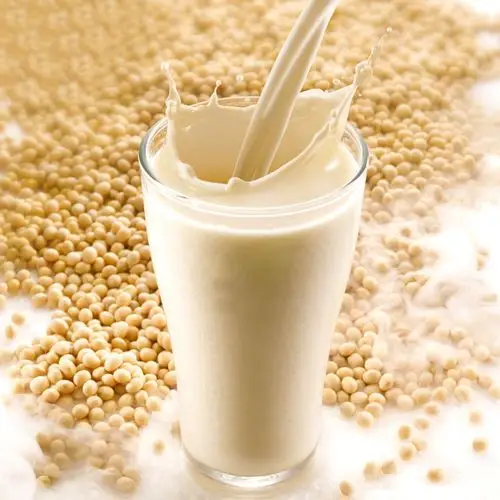 龙王原味豆浆480g无蔗糖非转基因东北黄豆浆粉早餐速溶冲饮粉豆粉