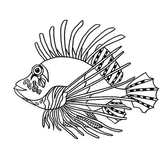 师院附小美术课堂(十六)线描狮子鱼