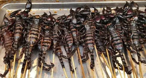 蝎子串串大爆发液氮速冻蝎子风靡烧烤摊