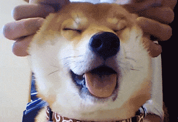 380_262gif 动态图 动图