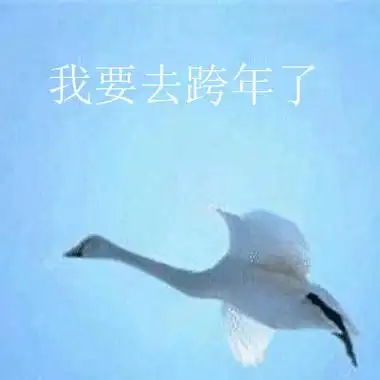 2021抖音跨年夜有空吗天鹅表情包2021抖音超火的跨年癞蛤蟆表情