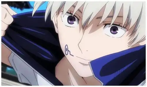 脸和性格狗卷棘的外形属于美少年,而且有种清冷,呆萌的感觉.