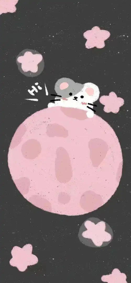 原来的壁纸已经配不上你的iphone12了,快来换新的猫咪壁纸