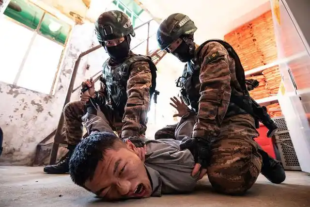 有委员在两会提出应取消罪犯子女考公制度限制,大家怎么看?