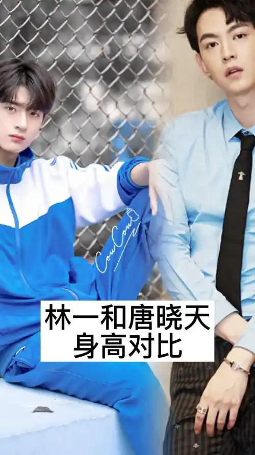 林一和唐晓天身高对比,你看懂了吗