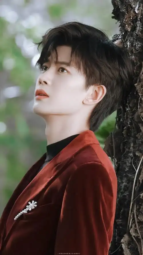 任嘉伦无忧渡##rogervivier品牌代言人任嘉伦