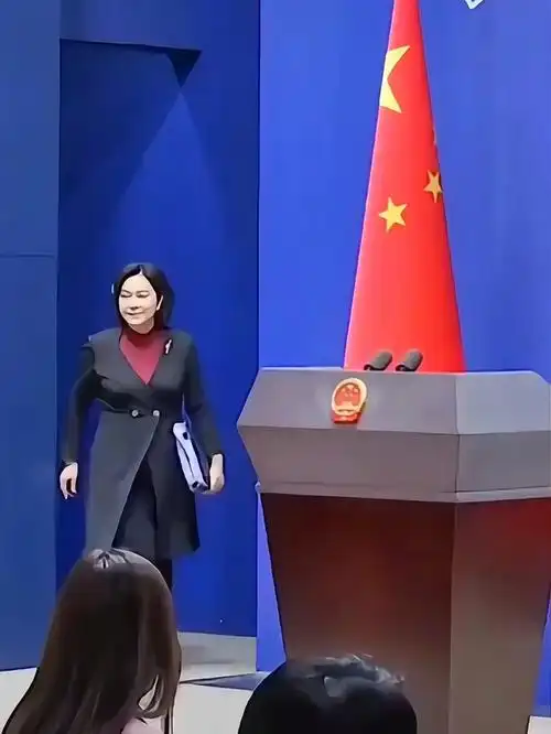 最强外交天团风彩,走路带风,刚柔并济 外交天团