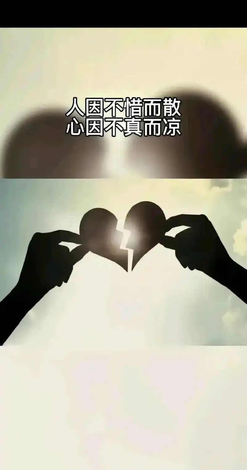 这段婚姻 始于心甘情愿,终于愿赌服输,来时没奢求,离时放亦担然