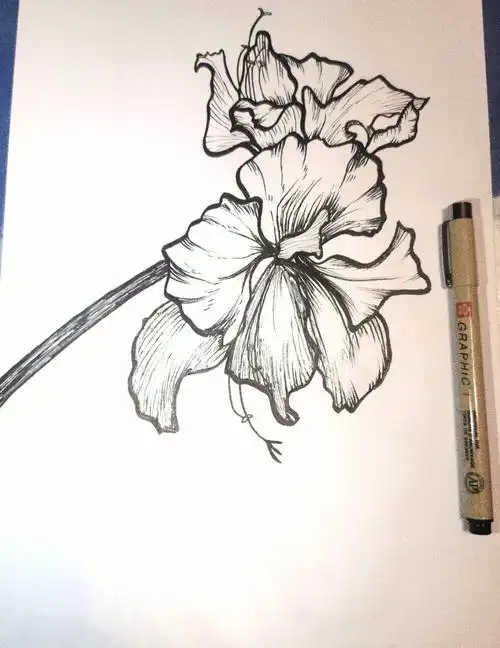 零基础学画画73含步骤