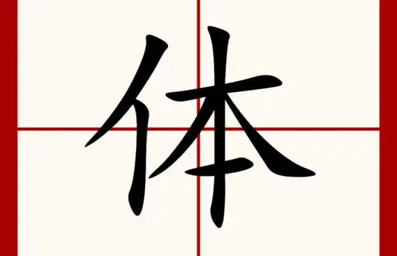 体组词,体的组词有哪些图1