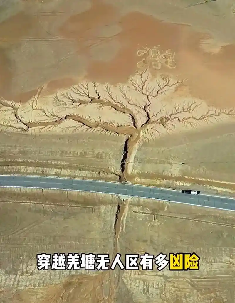 中国最神秘最具有魅力的羌塘无人区 走西藏三 - 抖音