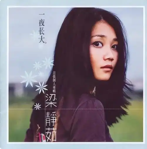 梁静茹个人资料简介(揭秘梁静茹离婚的"内幕") 第8张