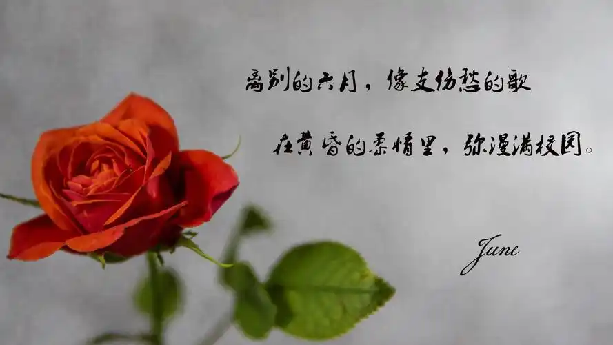 毕业,毕业季,带字,伤感,文字,摄影,时光记忆毕业离别的文艺短句子图片