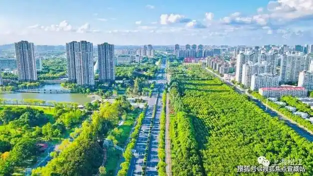 松江|大新城|上海市|开发商线上_网易订阅