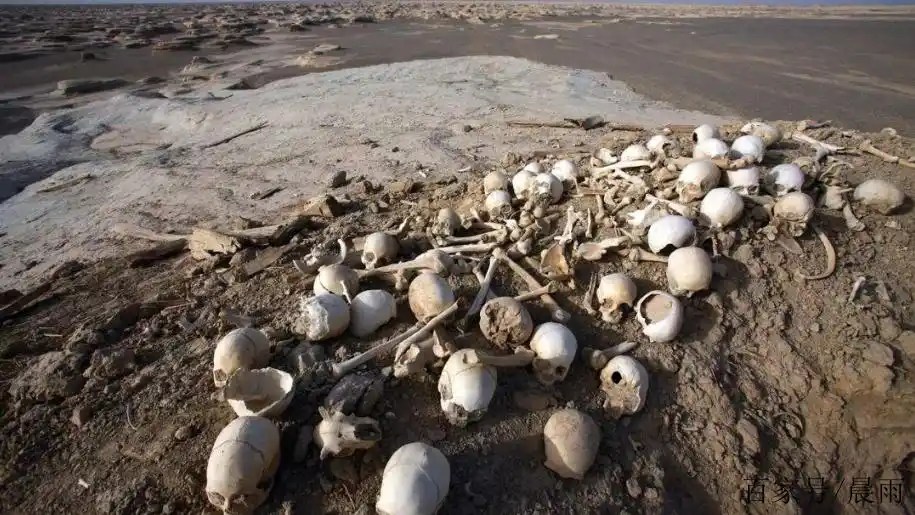 罗布泊无人区有多可怕?瞬间就能吞掉一辆车,老司机看了都腿软