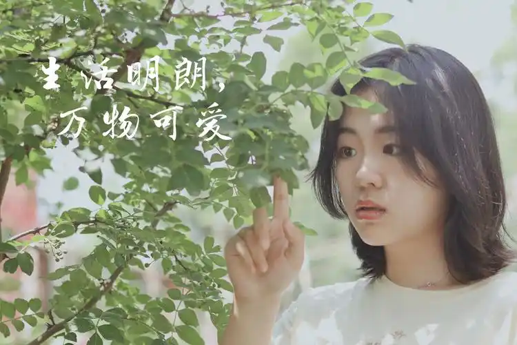 生活明朗万物可爱