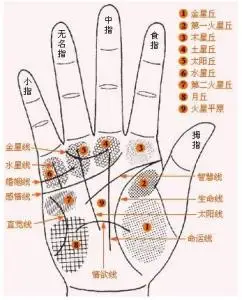 女人手掌纹的秘密及其看相算命全图解