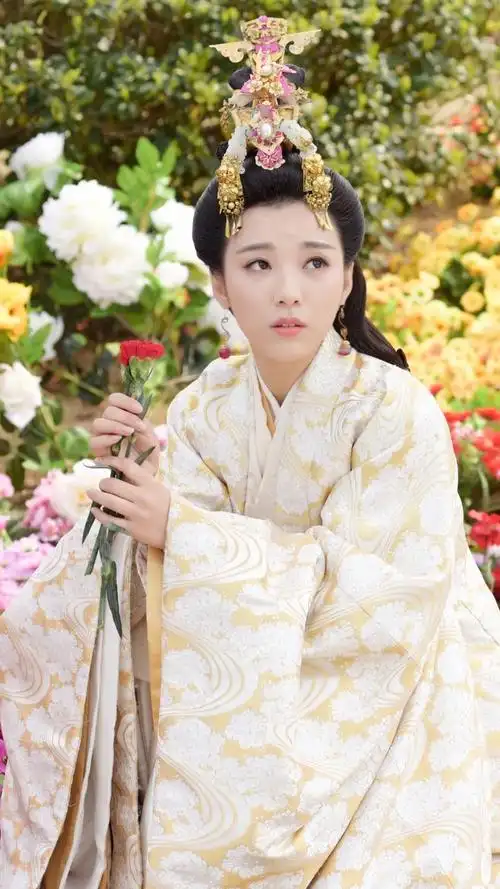 北方有佳人,遗世而独立.