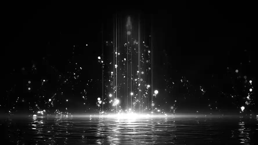 4k唯美黑白粒子天鹅湖背景视频黑色背景