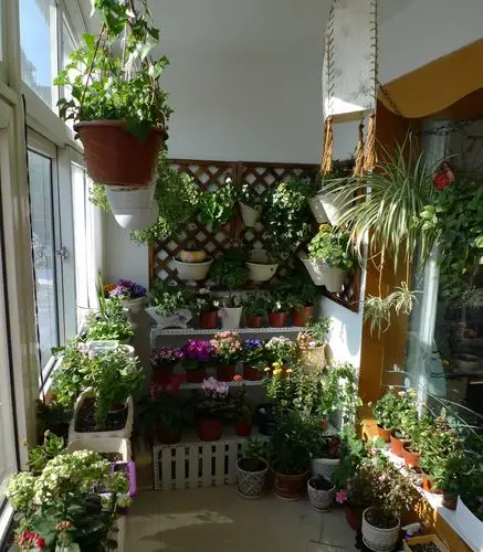 小阳台也有"春天"私人小花园的完美变身