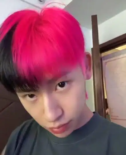 小鬼王琳凯晒半黑半粉新发色 网友看后心情复杂