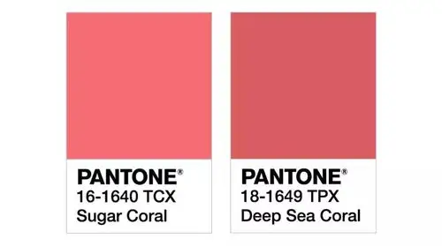 但其实在这个颜色的基础上,偏暖(橘)或者偏冷(粉)一点的颜色都可以