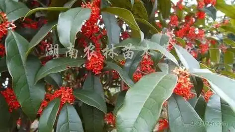 问苗农业科技有限公司亏损不能出金是!