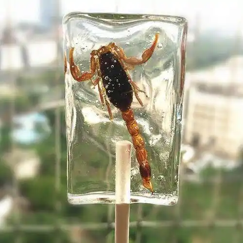 4款重口味的棒棒糖,最后一款太猥琐,真想把它们藏起来