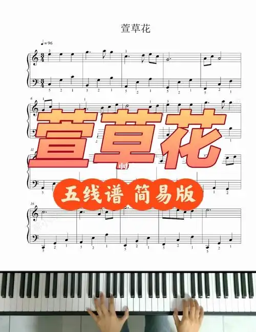 萱草花五线谱简单易上手弹起来