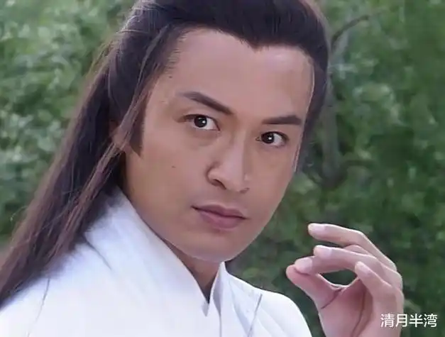 1990年签下首部琼瑶剧《雪珂》,此后接连在《青青河边草》以及琼瑶