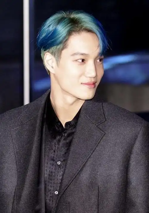 exo帅气亮相电影绿毯仪式 朴灿烈金钟仁等炫彩发色吸睛十足「组图」