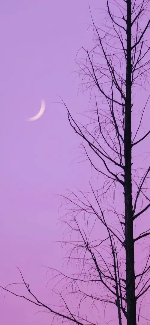 手机壁纸  #种地吧乡村美学##种地吧2空镜玄学#专栏 · 《种地吧》十