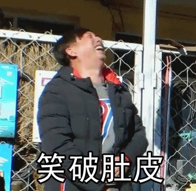 向往的生活黄磊笑破肚皮大笑gif动图_动态图_表情包下载_soogif