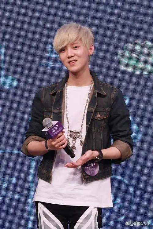 自2012年鹿晗加入exo以来,他凭借着俊朗的外表和出色的才艺迅速获得了