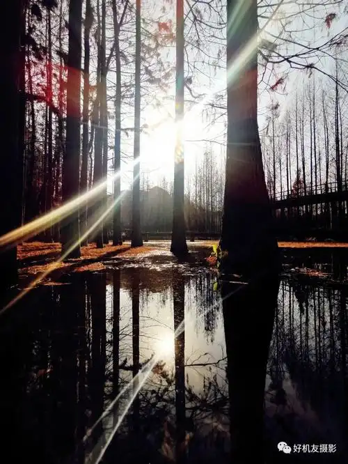 点评3张照片,不要盲目运用逆光拍摄