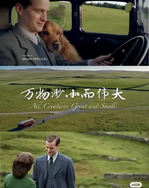 万物渺小而伟大_田园风_实习_阅读_英式_睡衣_咖啡_文化_阅读